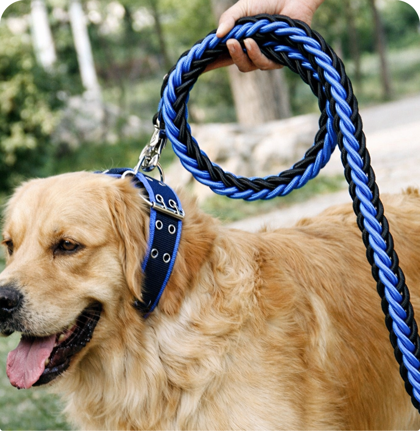 Palm Beach Parade Set