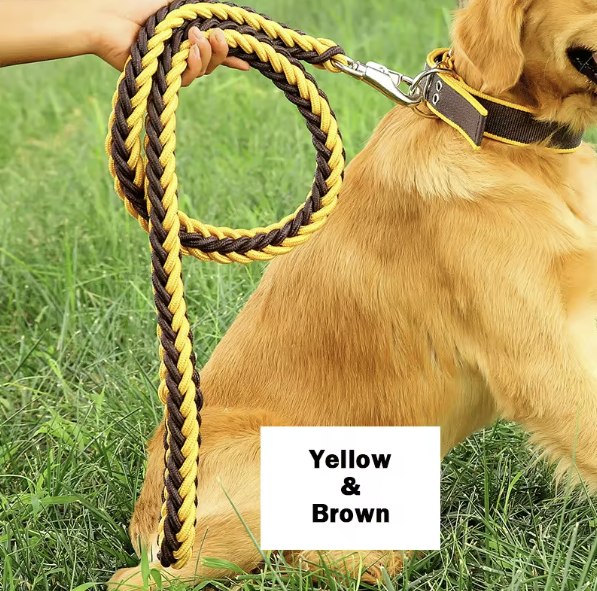 Palm Beach Parade Set