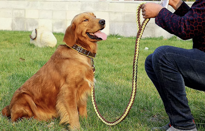 Palm Beach Parade Set